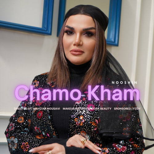 دانلود آهنگ نوشین چم و خم دانلود آهنگ نوشین چم و خم