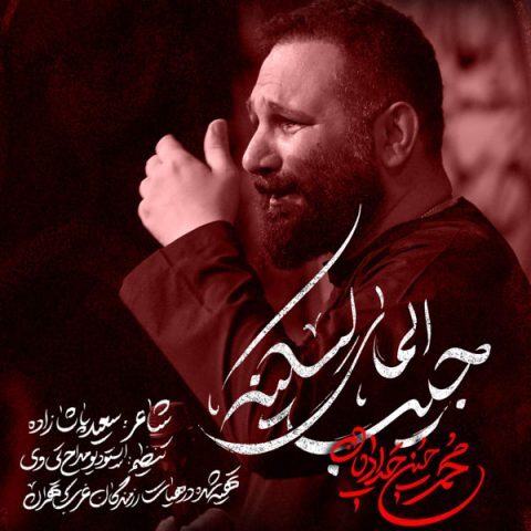 دانلود آهنگ محمد حسین حدادیان جیب المای لسکینه دانلود آهنگ محمد حسین حدادیان جیب المای لسکینه